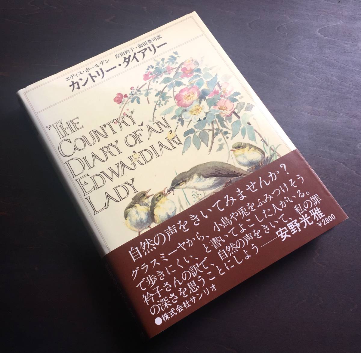 高価値】 洋書 edith holden イーディス•ホールディン カントリー
