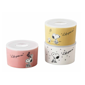 SN12 Snoopy SNOOPYtoli orange ceramics preservation container 3 piece set 