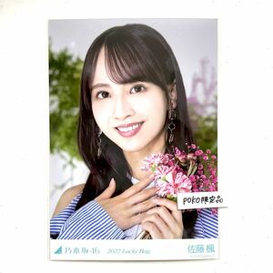 2★乃木坂46 公式グッズ 生写真 1枚 佐藤楓　ヨリ　2020年 luckybag 福袋 限定品 (カレンダー衣装　福袋B