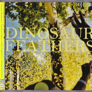 Dinosaur Feathers / Whistle Tips (日本盤CD) ボーナス1曲