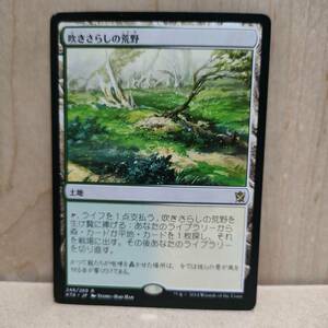 ★☆MTG 【日】吹きさらしの荒野/Windswept Heath[土地R]【KTK】★☆ 全ての商品同梱可能