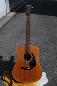 MORRIS. Morris . акустическая гитара .MD-505 . сделано в Японии 
