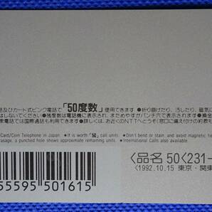 NTT サンタクロースハウス テレホンカード 煙突 未使用の画像6