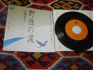 80's Itsuwa Mayumi (7inch)/. raw. tears / window 07SH 1442 1983 year 