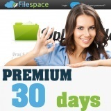 【評価数3000以上の実績】FileSpace プレミアム 30日間【安心サポート】