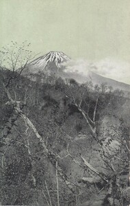 §戦前絵葉書E73 虻田郡喜茂別村ヨリ望ミタル羊蹄山 北海道絵葉書倶楽部発行