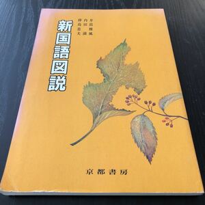 オ23 新国語図説 京都書房 井筒雅風 内田満 樺島忠夫 現代文 歴史 国語辞典 古典 俳句 文語 中国 教科書 テキスト 資料 四字熟語 資料 高校