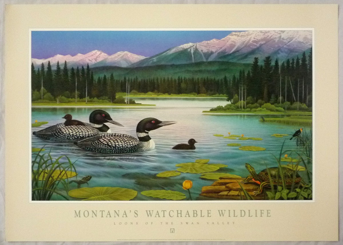 मोंटे ड्रक द्वारा अमेरिकी कला पोस्टर मोंटाना वाइल्डलाइफ़। शीट का आकार 81x57 सेमी और वितरित किया जा सकता है।, कलाकृति, चित्रकारी, अन्य