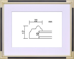 水彩用額縁 木製フレーム アクリル仕様 PF102C サイズF6号