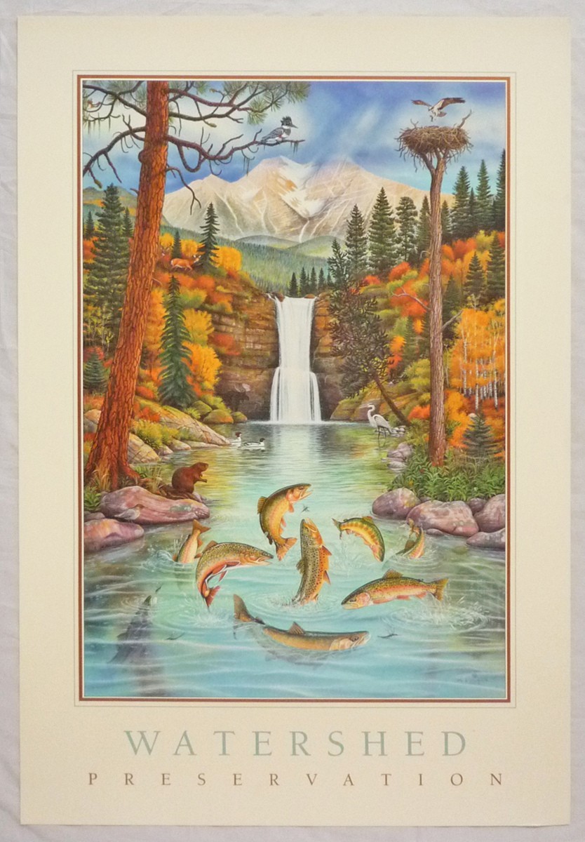 ملصق فني أمريكي الصنع مستجمعات المياه من مونتي دراك, متوفر بحجم الورقة 80X54 سم, عمل فني, تلوين, آحرون