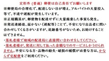 クインセイコー／クィーンセイコー／手巻き未使用リューズ銀色デッドストック（直径5.0mm×高さ2.5mm）_画像3