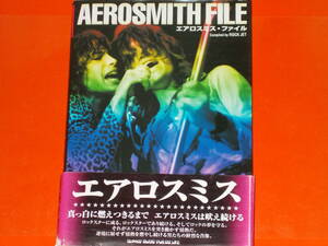 エアロスミス・ファイル★AEROSMITH FILE★Artist file 08★ROCK JET編集室★SHINKO MUSIC★株式会社 シンコー・ミュージック★帯付★