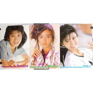 本田美奈子/西村知美/南野陽子/少年隊 両面横長ポスター 35x74cm 平凡 昭和61年7月号付録 1986年 昭和レトロ 当時物 アイドル