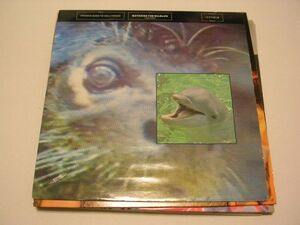 ●80's ROCK NEW WAVE Electronic 12”●FRANKIE GOES TO HOLLYWOOD/WATCHING THE WILDLIFE