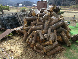  stove. firewood . camp .. attaching 