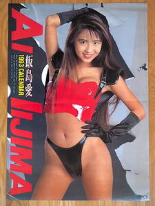 1993 год Iijima Ai календарь порез ... товар 