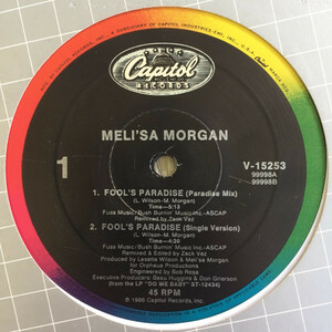 Meli'sa Morgan Fool's Paradise 12