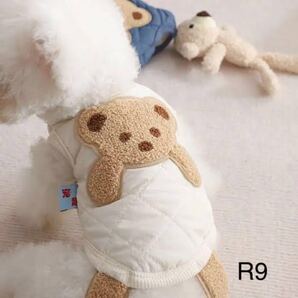 犬服くまちゃん。