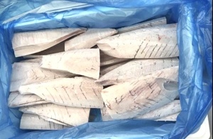 10 кг начинка ■ Один рыбацкий бин -джакггнут 10 кг сусику -кочный рон -шизуока префектура yaizu