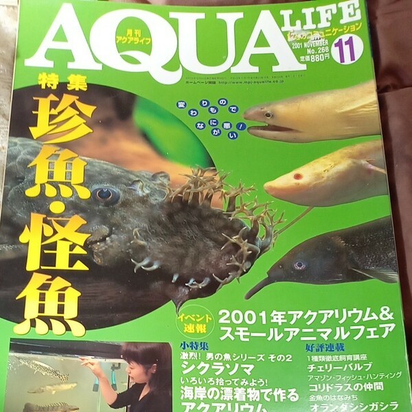 アクアライフ　珍魚　怪魚