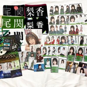 尾関梨香 グッズ まとめ売り (生写真・フォトカード・アクリルスタンドなど)