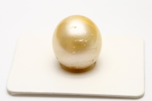 南洋白蝶真珠パールルース　15×14mm　ナチュラルゴールドカラー