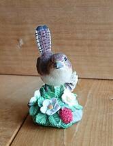 スコットランド製　ボーダーファインアーツ　石膏製　2007年　ソサエティ会員限定　ミソサザイのお人形　 野鳥　鷦鷯_画像6
