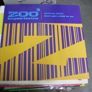 ●HOUSE UKSOUL12”●ZOO EXPERIENCE/LOVE'S GOT A HOLD ON MEの画像1