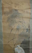 稀少 アンティーク 鷺 サギ 蓮 ハス 落款 紙本 肉筆 掛軸 絵画 日本画 古美術_画像5