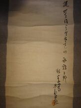 稀少 ヴィンテージ アヤメ 菖蒲 花 落款 紙本 肉筆 掛軸 絵画 日本画 書 書道 古美術_画像5