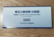 【送料無料】セントラルスポーツ　株主優待券★6枚セット★2022年6月30日まで_画像1