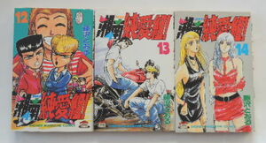 藤沢とおる「湘南純愛組！」12巻～１4巻の3冊