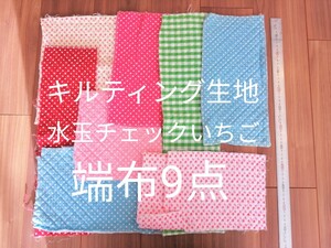 【キルティング生地】水玉チェックいちご柄 パステルカラー 端布9点まとめ