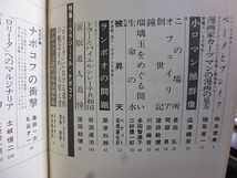 ユリイカ　特集 ウラジーミル・ナボコフ　共同討議ナボコフの衝撃・篠田一士、丸谷才一　ナボコフとロシア　ナボコフ作品年表　ロリータ_画像2