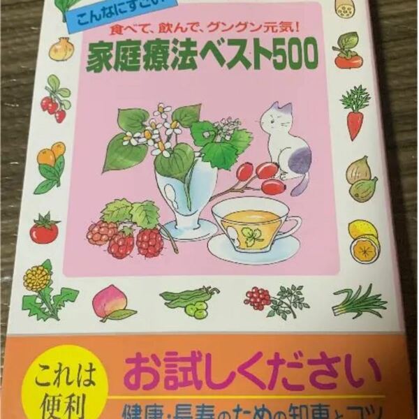 こんなにすごい　食べて、飲んで、グングン元気！家庭療法ベスト500