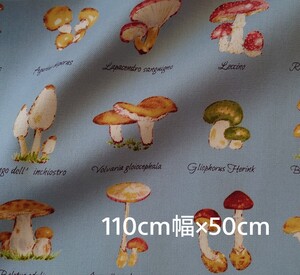 オックス生地 きのこ 図鑑 110×50cm キノコ