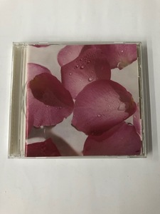 ☆即決*USED【ブルーミングアイボリー Blooming Ivory ベスト】今井美樹*CD*プライド☆