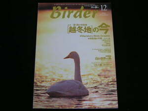 ◆バーダー 2003/12◆渡り鳥の休息地「越冬地」の今