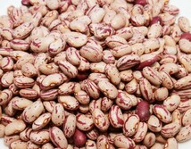 豆力　豆専門店のうずら豆（クランベリー豆）　200g_画像2