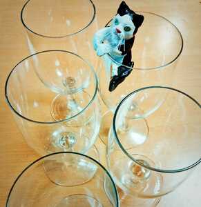 とても薄手の上品な ワイン　シャンパン カクテルグラス 5個セット　猫さんもおまけカクテルグラスアイスクリスタルワインビールジュース