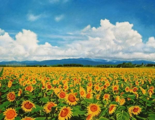 Pintura al óleo: Campo de girasoles en Somegaoka, MiyazakiMA3037, Cuadro, Pintura al óleo, Naturaleza, Pintura de paisaje