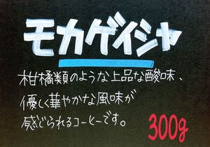 モカ ゲイシャ(エチオピア)自家焙煎 珈琲豆 (100g×3)