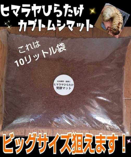 送料無料【改良版】雑虫混入100%なし!幼虫が大きくなる!ヒマラヤひらたけ発酵カブトムシマット!幼虫の餌、産卵マット☆10Lクヌギ100%