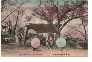 ◆　手彩色　横浜　伊勢山の桜　和傘を持ちながら　お辞儀をする女性