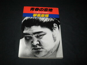 青春の意地 土俵にかける執念 琴風豪規
