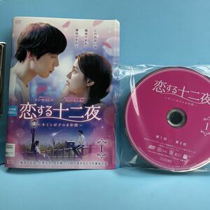 恋する十二夜　～キミとボクの8年間～　DVD 全14巻セット ハン・スンヨン