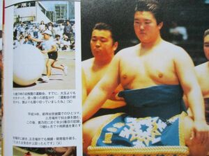 切り抜き★稀勢の里★小林麻耶★木村沙織★グラビア★プレイボーイ／2008年6月9日