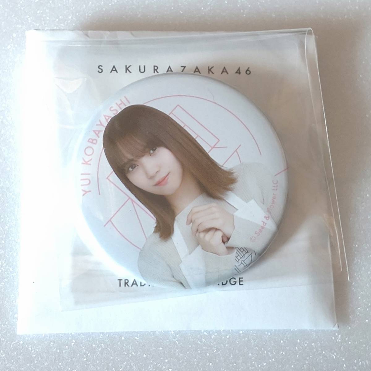 (抽プレ当選品)櫻坂46 小林由依 2nd写真集【意外性】 発売記念パネル展 直筆サイン入りパネル タレントグッズ サイン