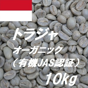 コーヒー生豆　トラジャ　オーガニック　有機JAS認証　10kｇ　送料無料　グリーンビーンズ