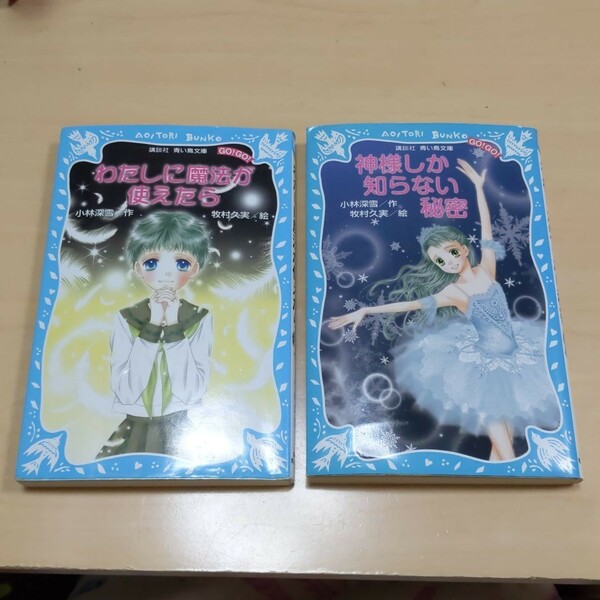 わたしに魔法が使えたら・神様しか知らない秘密　２冊セット